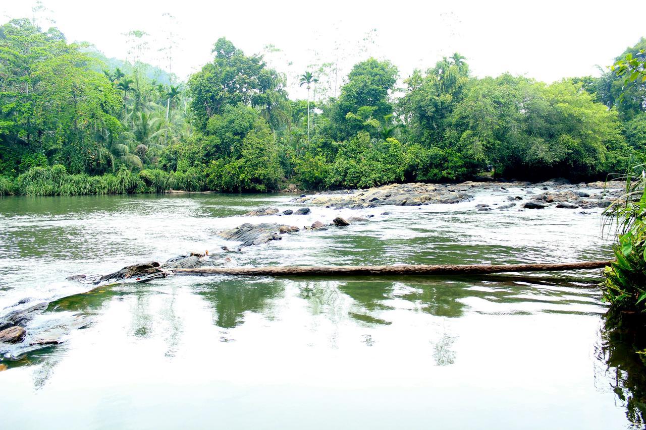 Bedda Eco Cottages Deniyaya Esterno foto