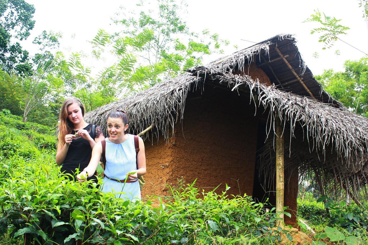 Bedda Eco Cottages Deniyaya Esterno foto