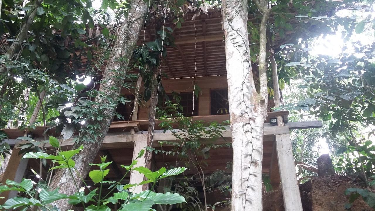 Bedda Eco Cottages Deniyaya Esterno foto