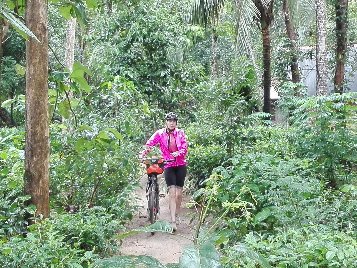 Bedda Eco Cottages Deniyaya Esterno foto