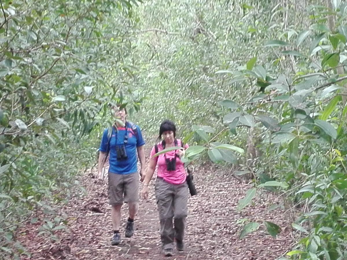 Bedda Eco Cottages Deniyaya Esterno foto
