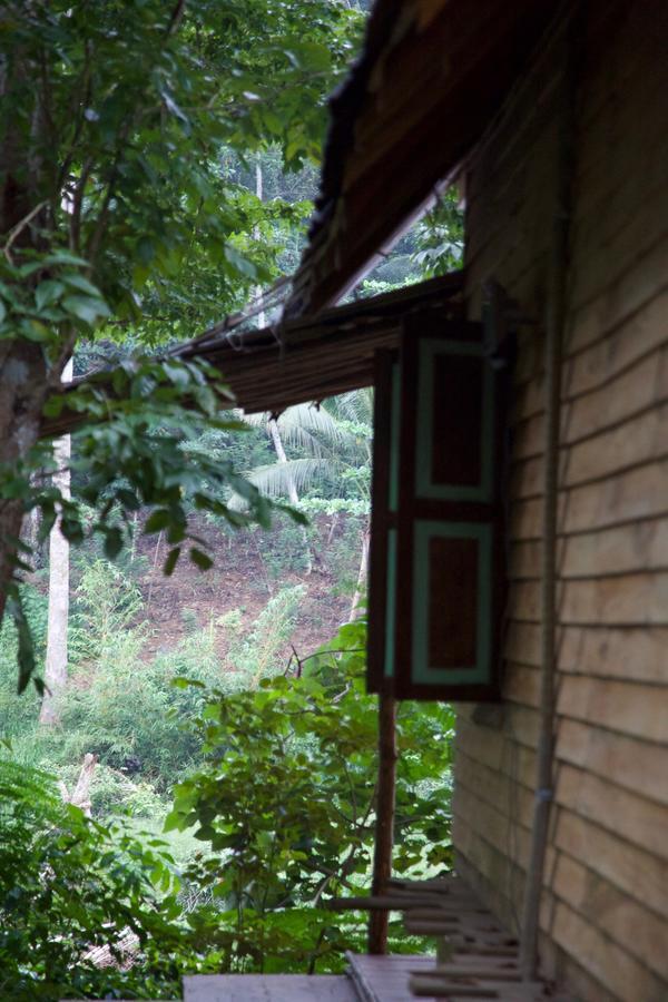 Bedda Eco Cottages Deniyaya Esterno foto