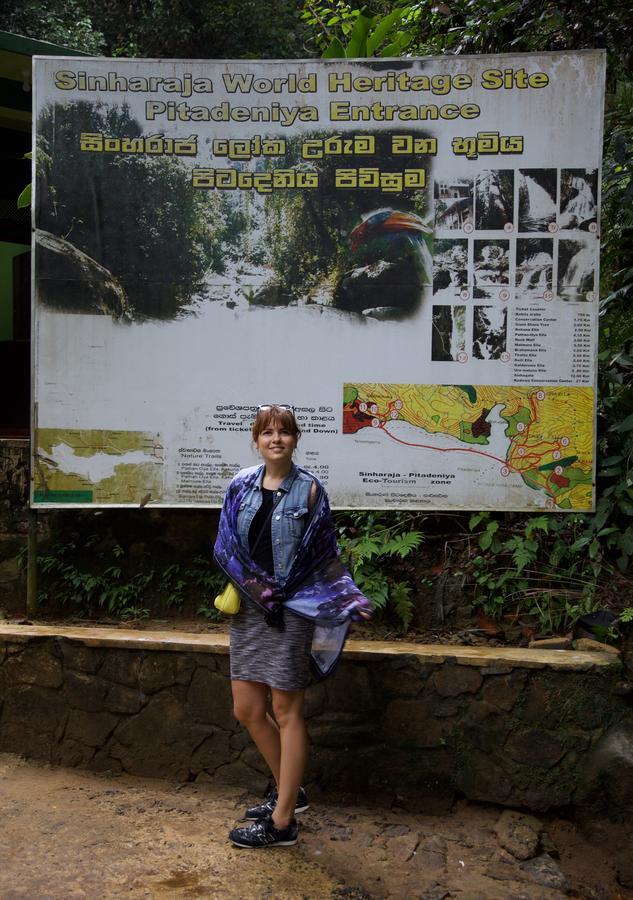 Bedda Eco Cottages Deniyaya Esterno foto