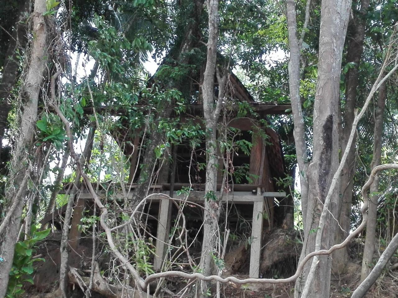 Bedda Eco Cottages Deniyaya Esterno foto